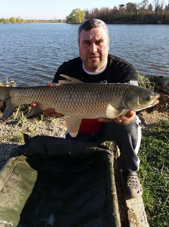 27 -28 Martie Hermes Peris 2017 - 1762651115064143460582376813682515960396896n.jpg